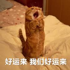 好运GIF动图免费下载- 爱给网