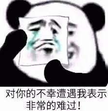 对你的不幸遭遇我表示非常的难过！（熊猫头用哭泣表情掩饰偷笑） 熊猫举着流泪脸的纸，配文“对你的不幸遭遇我表示非常的难过”表情包图片gif动图-